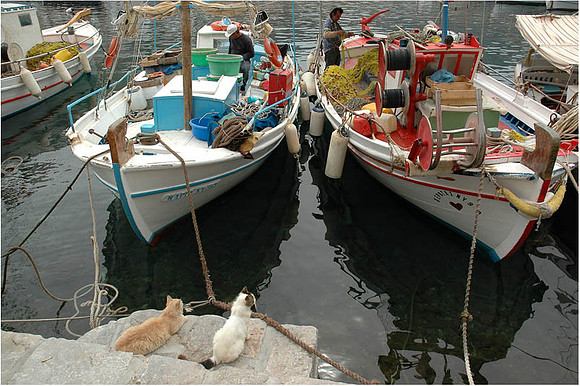 Greece - Hydra D_0025