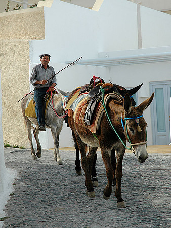 Greece - Santorini, Fira DSC_0359