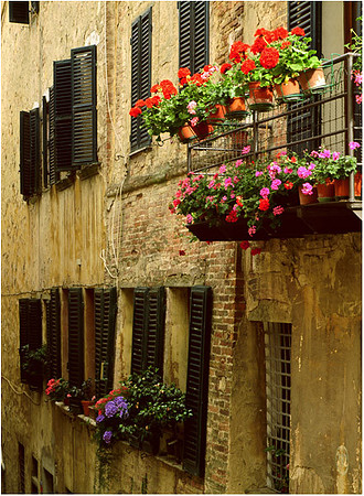 Montepulcioano Flower Boxes - 90580001