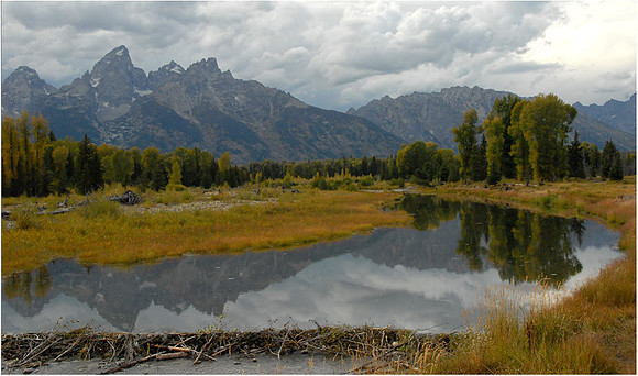 Grand Teton - Beaver Dam and Reflections