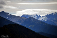 DSC_3603 PS