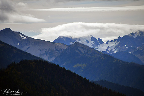 DSC_3603 PS