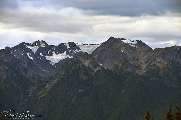 DSC_3602 PS