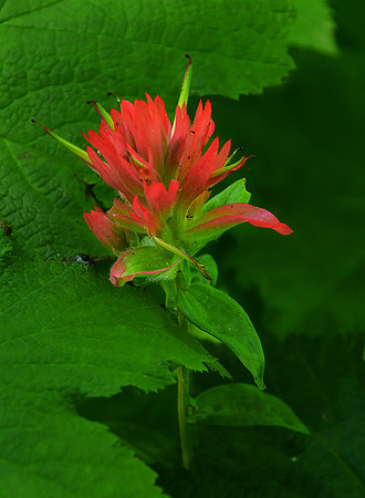 DSC_8867 web