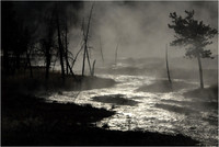 Yellowstone - misty morn