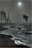 Yelowstone - Foggy Morn