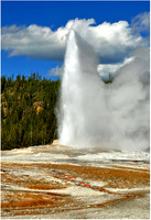 Yellowstone - Old Faithful