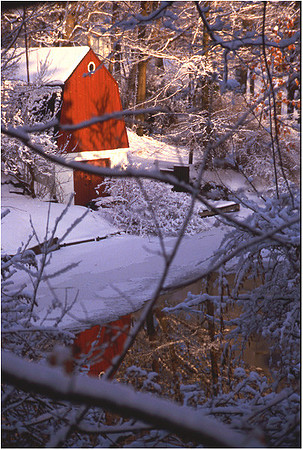 Michigan Winters Reflection