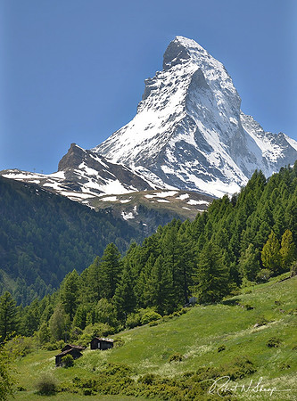 DSC_2668 Web
