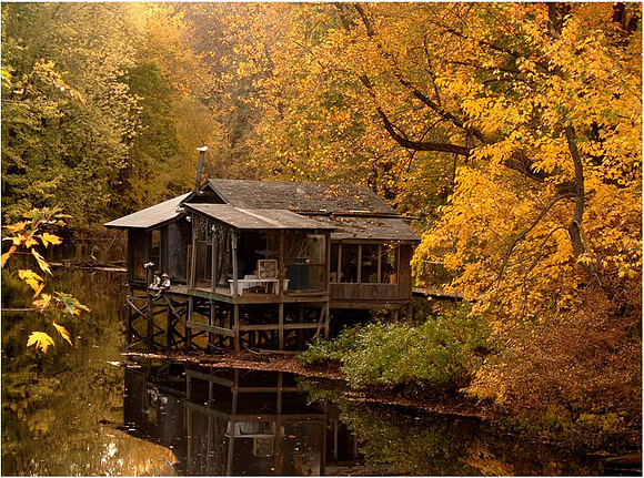 Michigan  DSC_1167 Tula's Treehouse