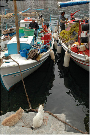 Greece - Hydra D_0026