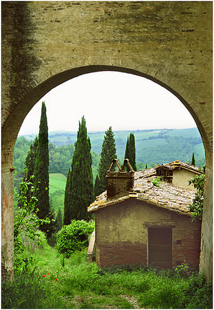 Monterongriffoli - 90580008