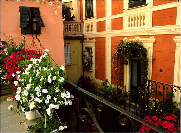 Camogli 33110007